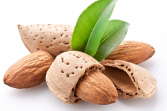 Mandorle Siciliane Bio Vendita Online